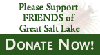 donate.gif