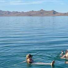 FRIENDS of Great Salt Lake - Home