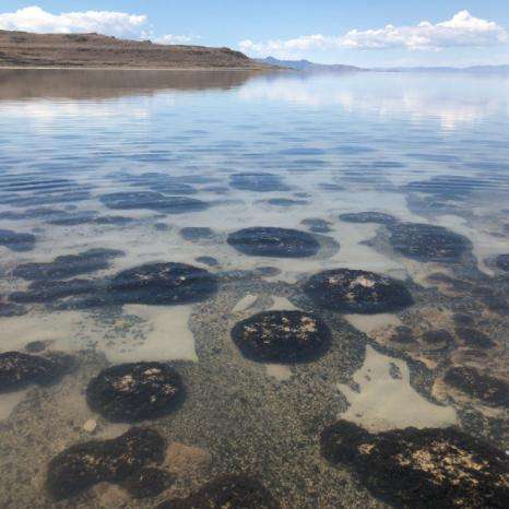 FRIENDS of Great Salt Lake - Home