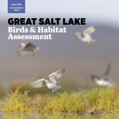 FRIENDS of Great Salt Lake - Home