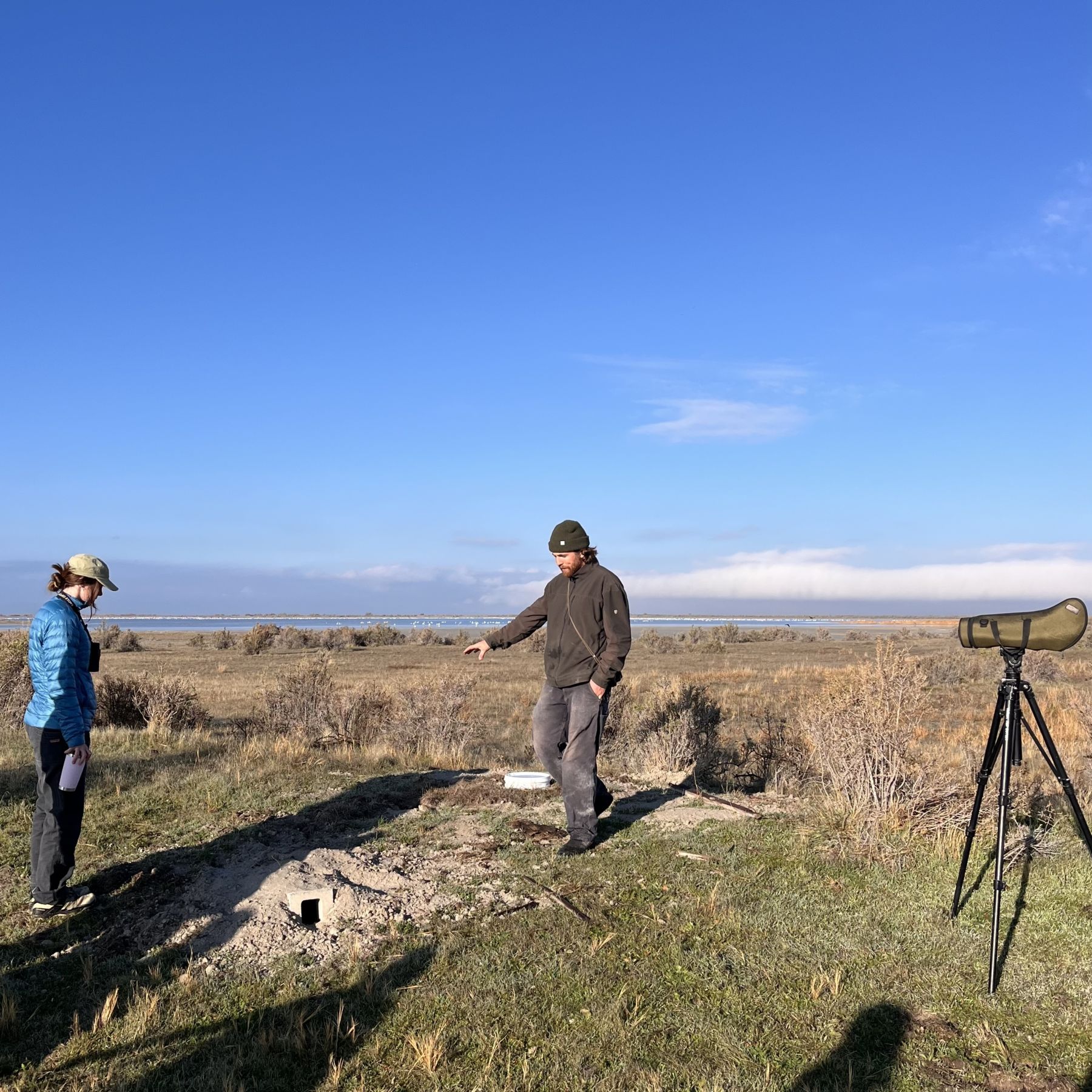 FRIENDS of Great Salt Lake - Audubon: Fall Volunteer Days at Gillmor Sanctuary