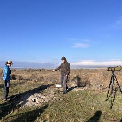 Audubon: Fall Volunteer Days at Gillmor Sanctuary