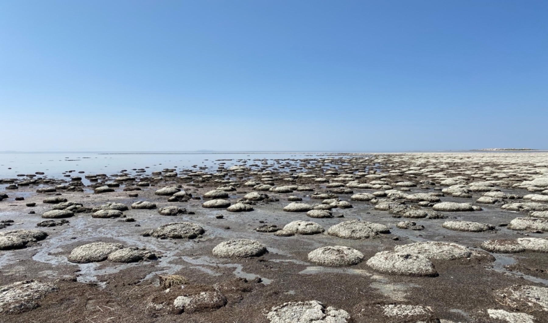 FRIENDS of Great Salt Lake - Think and Do—What Do We Do About A Record Low Great Salt Lake?