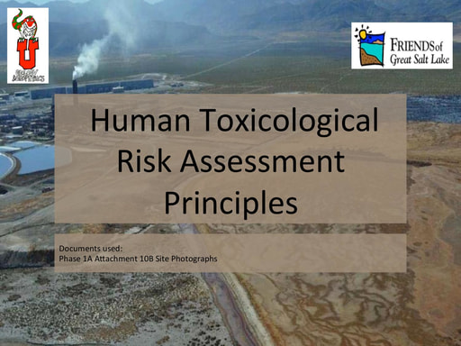 Human Toxicology Risk Assessment