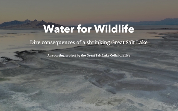 GSL Collaborative: Water for Wildlife