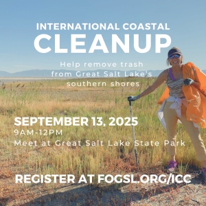 International Coastal Cleanup at Great Salt Lake