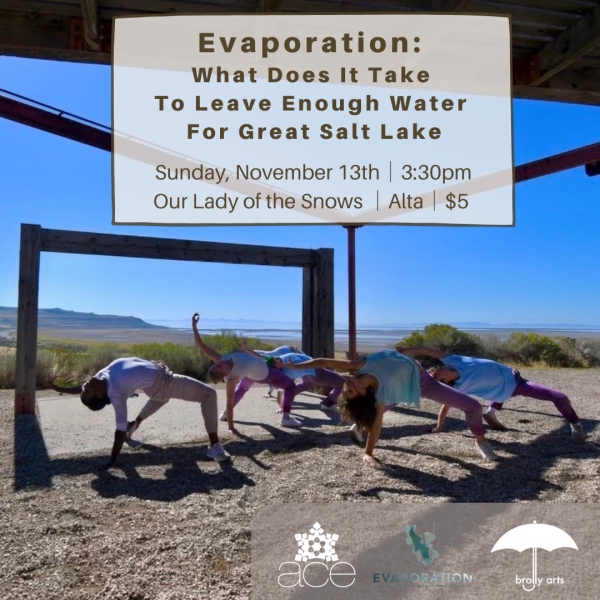Alta Community Enrichment: Evaporation Arts Event on 11/13