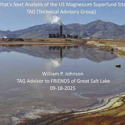 What’s Next Analysis of the US Magnesium Superfund Site