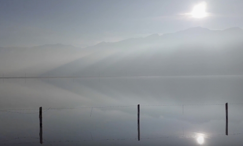 Sound Winner: Charles Uibel and Mark Boer